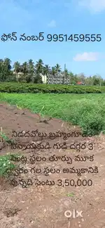 Brammangudem Vinayaka gudi daggara
