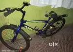 Gang cycle
