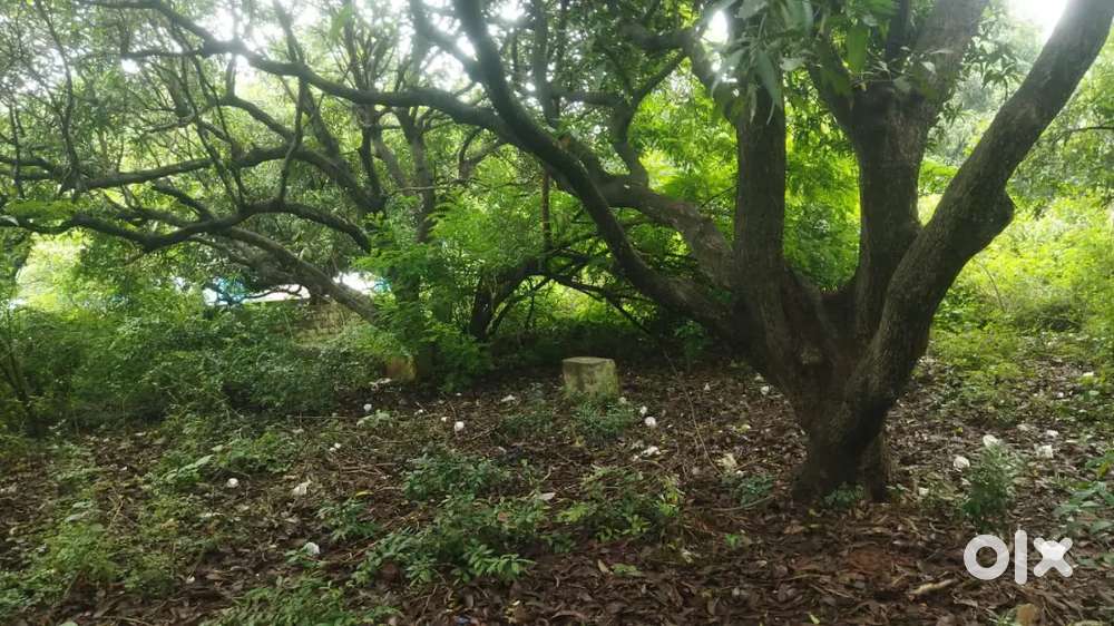Vuda plot near sakshi office,Madhurawada