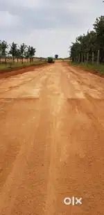 Farmhouse land for sale