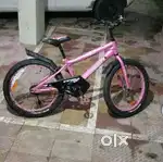 Stryder Bicycle 6month old