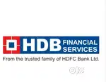 HDB FINANCIAL SERVICES