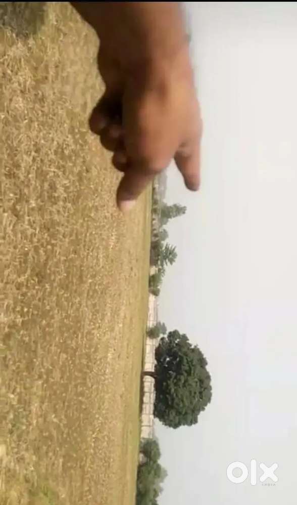 Ayodhya me badi jamin k liye sampark kare