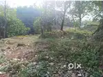 Mylacombu, Thodupuzha:-50 cents of land for sale.