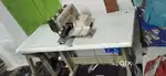 Jack Button Machine