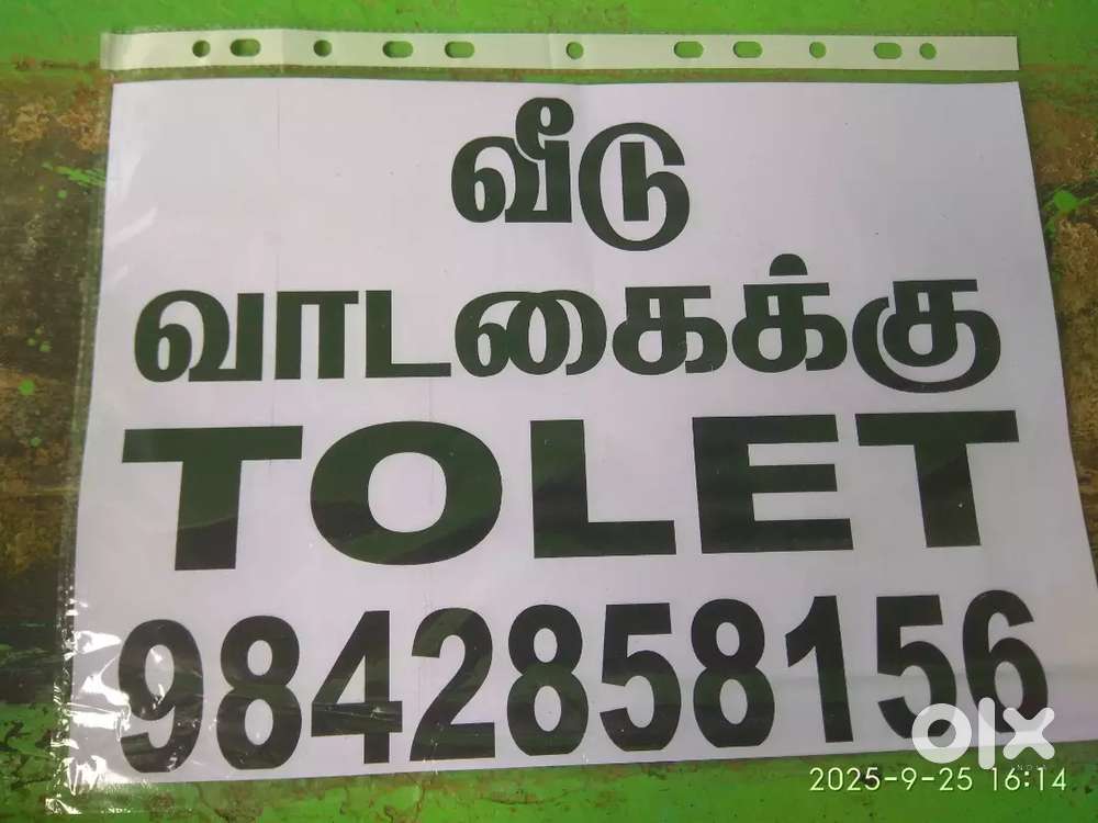 தனி காம்பவுண்ட் வீடு  டார்ச் வீடு வாடகைக்கு