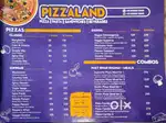 FRESHER AND EXPERIENCE FOR PIZZA STORE