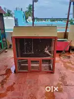 Birds Cage