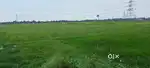 Neat and clean plot with paper ready