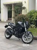 Dominar 250 b6 for sale
