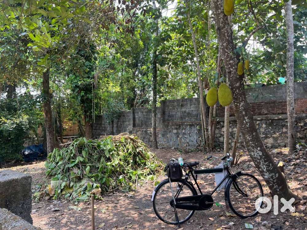 POOJAPPURA 3.75 CENTS RESIDENTIAL PLOT FOR SALE