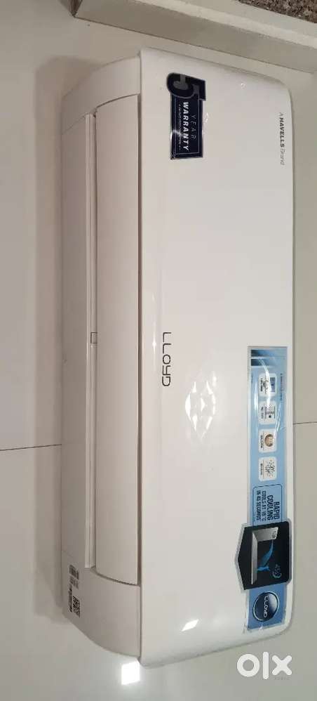 Lloyd AC 1 Tan
