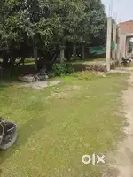 Sale my plot