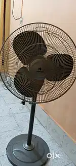 Stand Fan Havells
