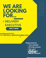 DELIVERY EXECUTIVES