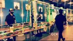 Swing Catering Setup of Pine wood