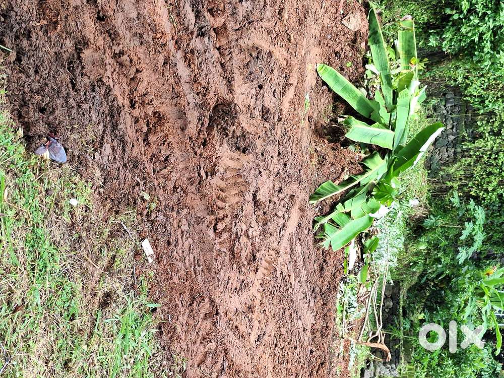 15.6 cents of plot for sale