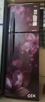 LG fridge 10 years warranty