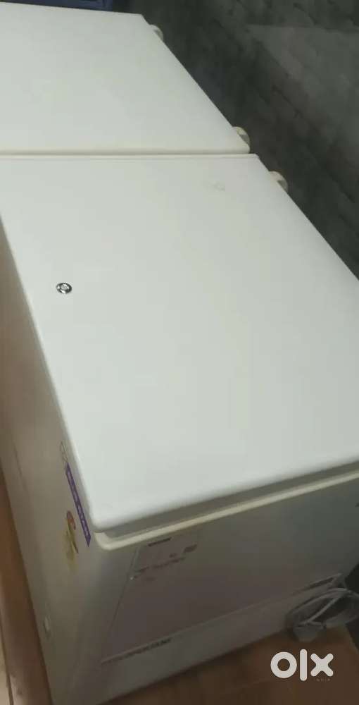 Blue Star Deep Convertible Freezer 500 Litres