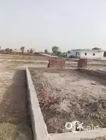 100 gaj plot jhajjar road near Amaya greens