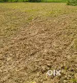 18DECIMAL GENERAL PLOT AT KUARMUNDA