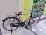 One year old cycle