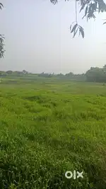 5kattah to 20kattah Land is available for sale Near Amtala Gabberia