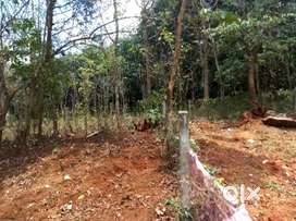 65 cent land,  NH544,Panniyankara Toll Plaza