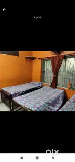 Gents pg accomodation