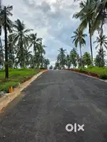 Premium plots for sale in Mannarkkad, Palakkad