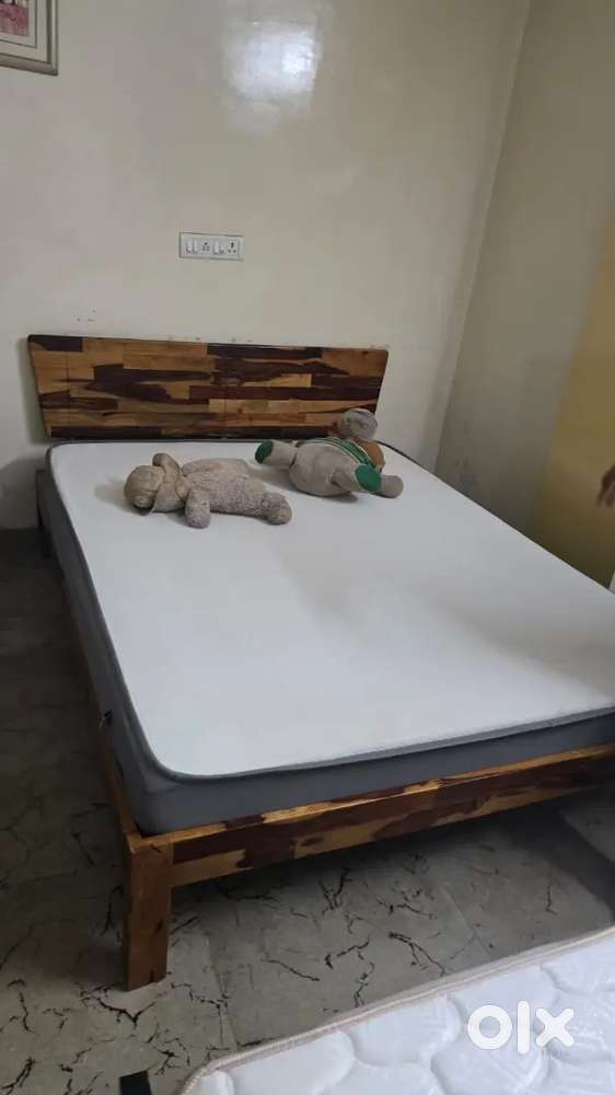 Kingsize Double cot kids cot with bed