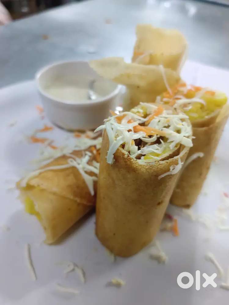 South Indian all rounder chef