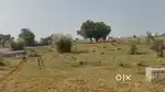 300 square meter, JDA, south, Residential plot for sale at Ring Road