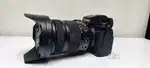 Camera/Mirrorless/