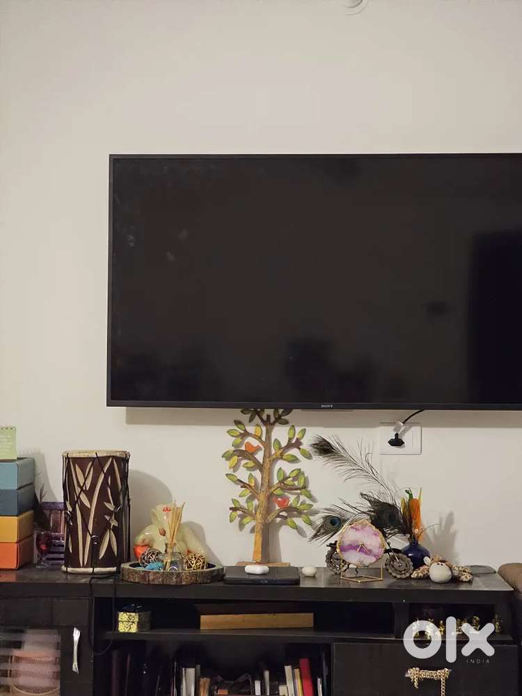 Sony Bravia 55 inch TV