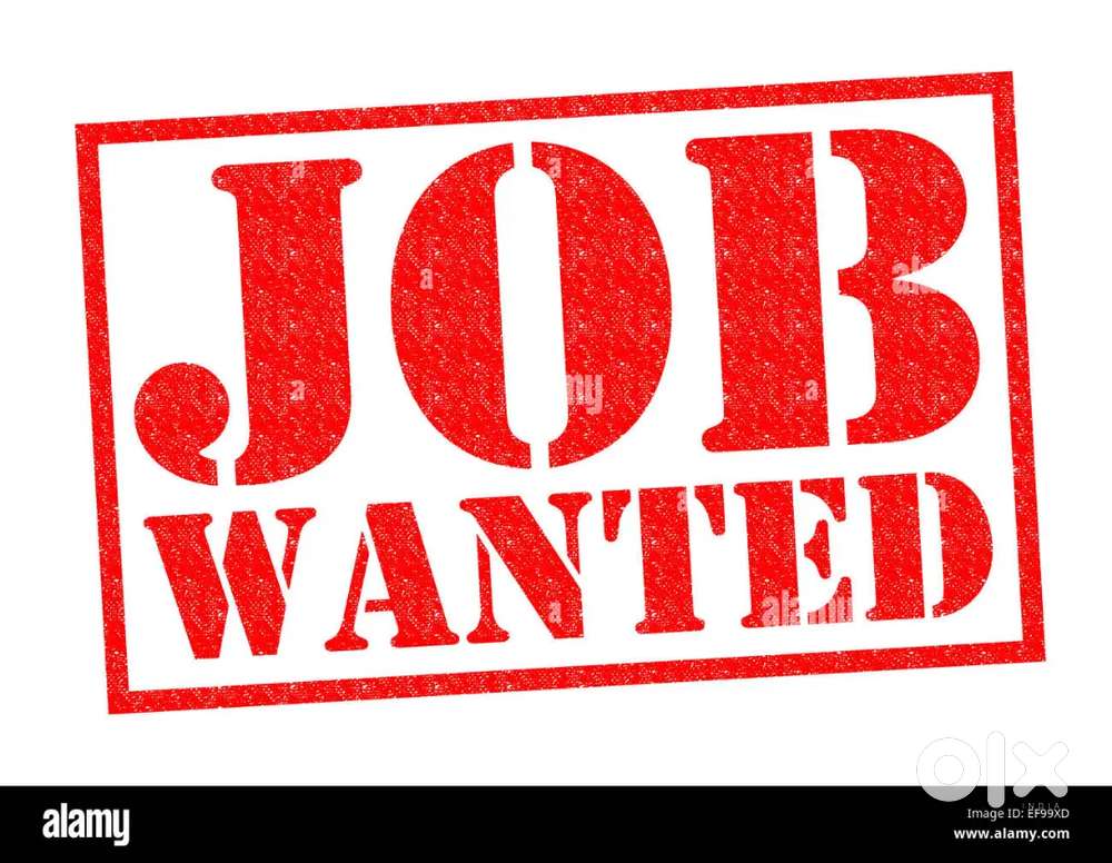 Basic Autocad  (female staff only)