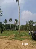 Plot for sale at Chathanoor
