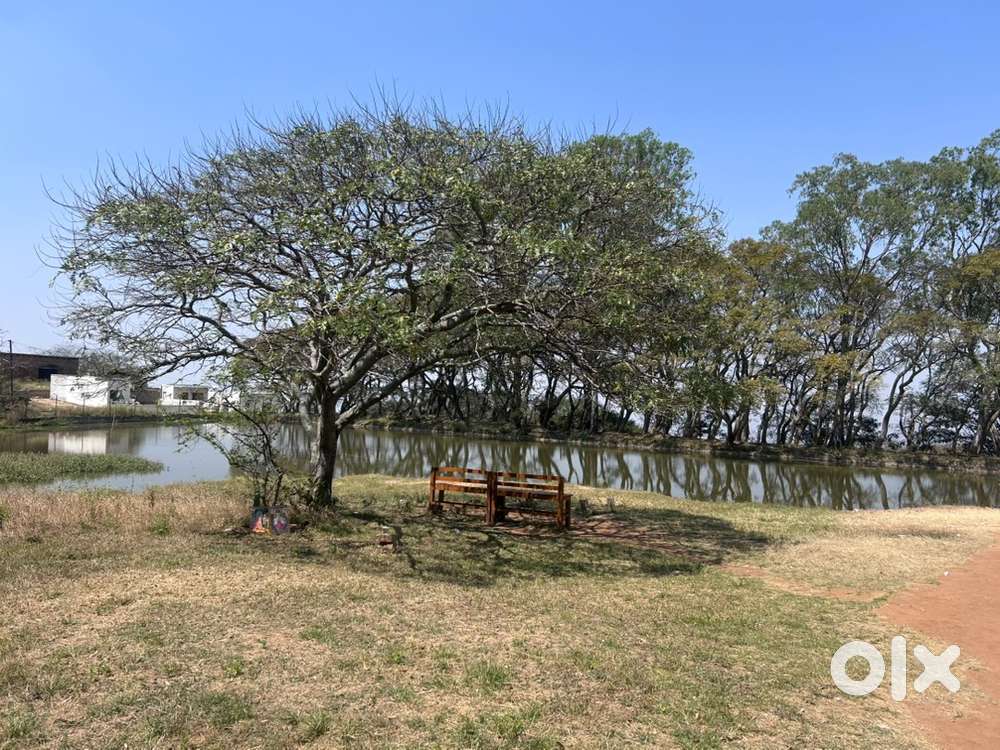 Need maid couples to look after a farm house