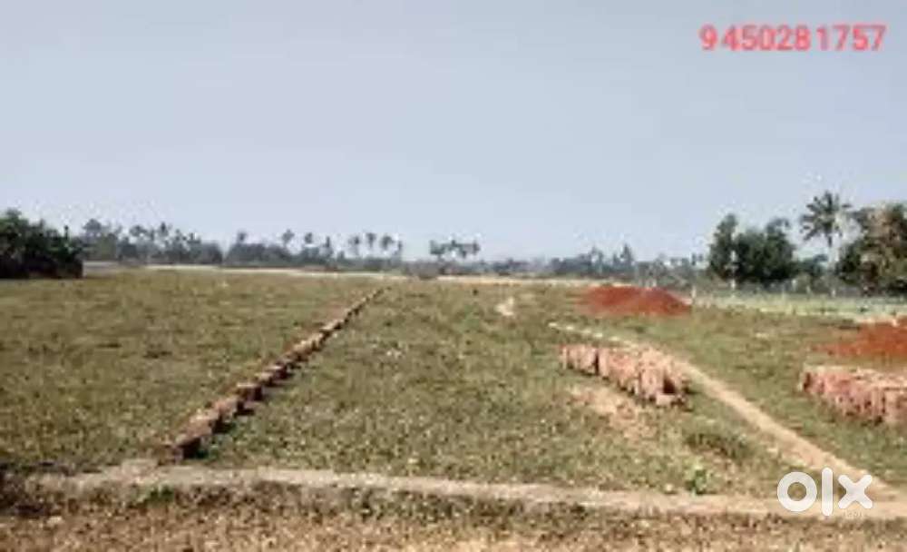 94502 Ekdam main road PE jameen h 81757