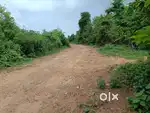 2.5 Acres Open Land in Nuzvid Town in APCRDA Region