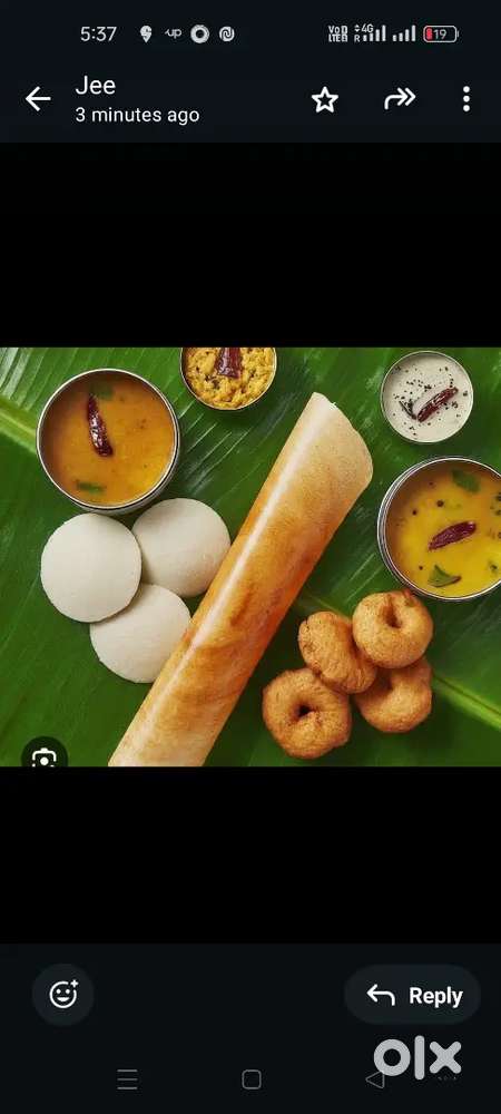 South Indian tiffins cook for food truck