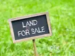 Prime Vacant Land for Sale  in Velapadi, Vellore