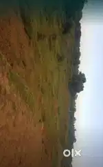 10 acre land in lakhnadoun connected with NH is available for sale