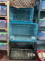 Set of 4 Cages at affordable price