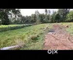 PLOT FOR SALE IN BANDA - Jamnipur