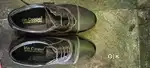 Black colour office shoes