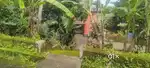 17 CENT LAND OLD VED FOR SALE AT INFOPARK PHASETO