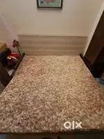 Sofa cum bed