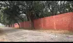 Mango bagh 128 beegah