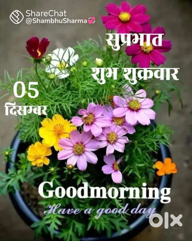 Classes and private classes